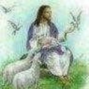 Meet your Posher, Hugo